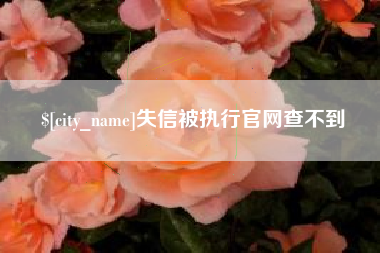 广水失信被执行官网查不到