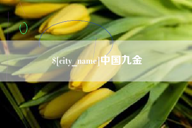 广水中国九金