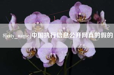广水中国执行信息公开网真的假的