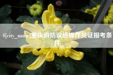 广水重庆消防设施操作员证报考条件
