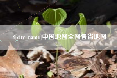 广水中国地图全图各省地图