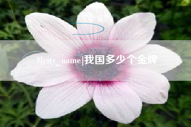 广水我国多少个金牌