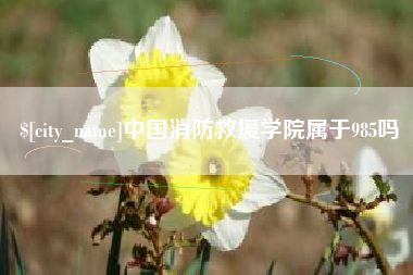 广水中国消防救援学院属于985吗