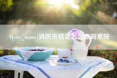 广水消防资格证怎么查询系统
