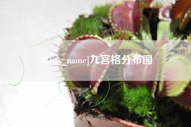 广水九宫格分布图