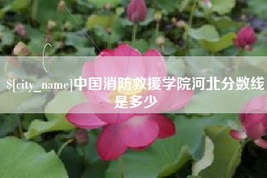 广水中国消防救援学院河北分数线是多少