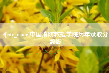 广水中国消防救援学院历年录取分数线