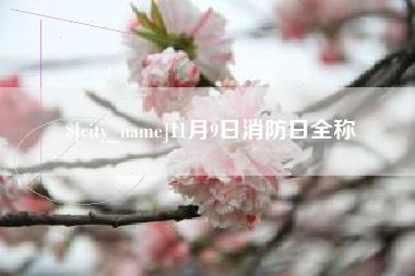 广水11月9日消防日全称