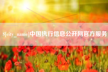广水中国执行信息公开网官方服务