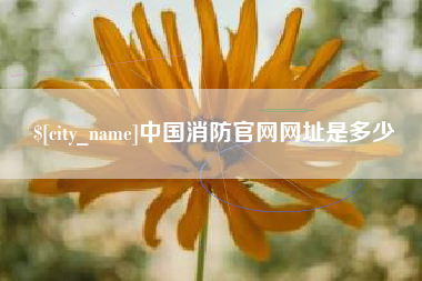 广水中国消防官网网址是多少