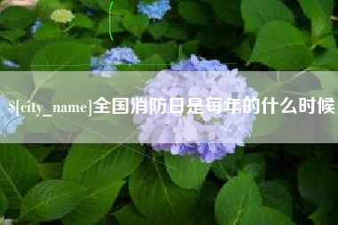 广水全国消防日是每年的什么时候