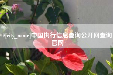 广水中国执行信息查询公开网查询官网