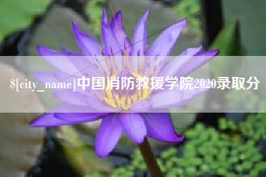 广水中国消防救援学院2020录取分