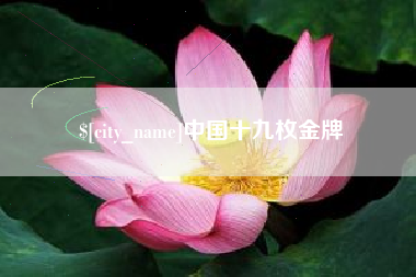 广水中国十九枚金牌