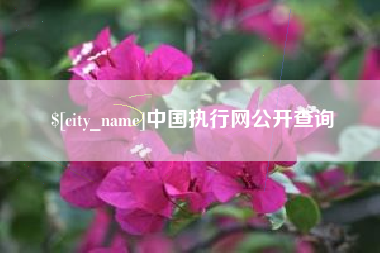 广水中国执行网公开查询