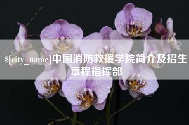 广水中国消防救援学院简介及招生章程指挥部