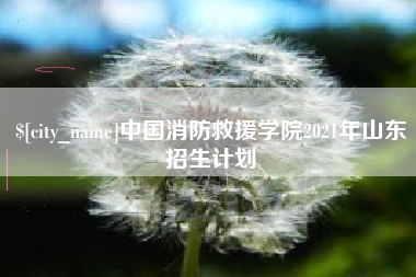广水中国消防救援学院2021年山东招生计划