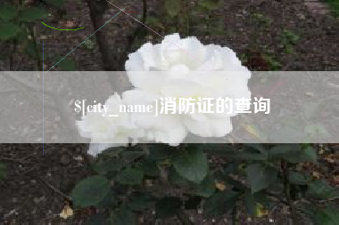 广水消防证的查询