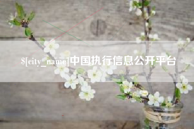 广水中国执行信息公开平台