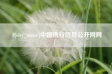 广水中国执行信息公开网网