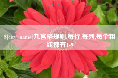广水九宫格规则,每行,每列,每个粗线都有1-9