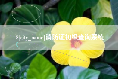 广水消防证初级查询系统