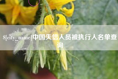 广水中国失信人员被执行人名单查询