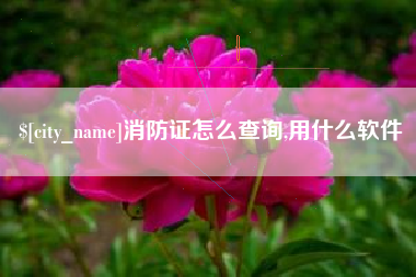 广水消防证怎么查询,用什么软件