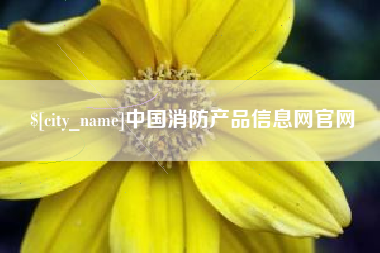 广水中国消防产品信息网官网