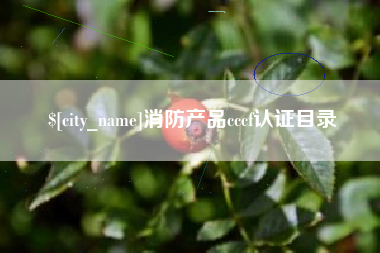 广水消防产品cccf认证目录
