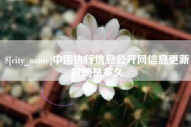 广水中国执行信息公开网信息更新时间是多久