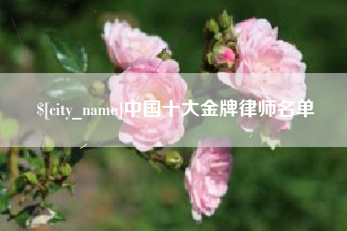 广水中国十大金牌律师名单