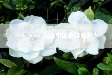 广水现在中国金牌是多少