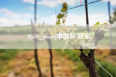 广水中国队 冠军