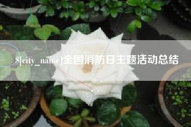 广水全国消防日主题活动总结