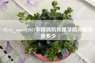 广水2021中国消防救援学院分数线是多少