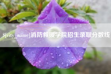 广水消防救援学院招生录取分数线