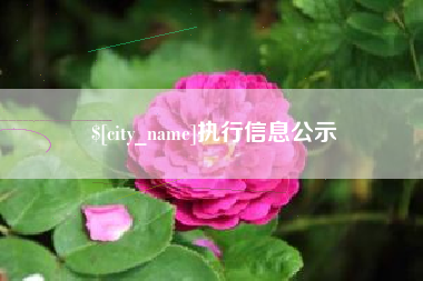 广水执行信息公示