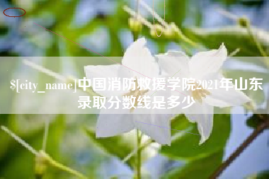 广水中国消防救援学院2021年山东录取分数线是多少