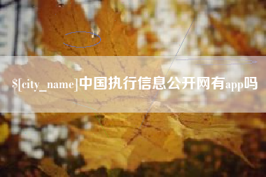 广水中国执行信息公开网有app吗