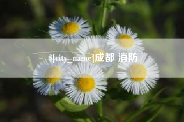 广水成都 消防
