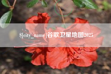 广水谷歌卫星地图2025