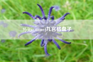 广水九宫格盘子