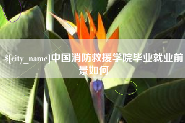 广水中国消防救援学院毕业就业前景如何