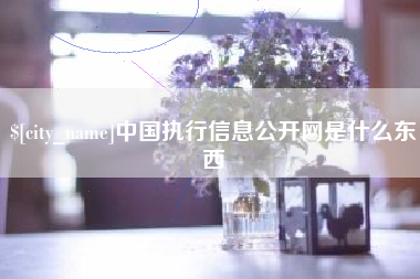 广水中国执行信息公开网是什么东西