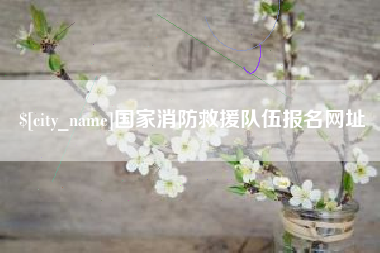 广水国家消防救援队伍报名网址