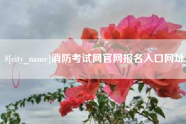 广水消防考试网官网报名入口网址