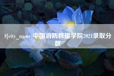 广水中国消防救援学院2021录取分数