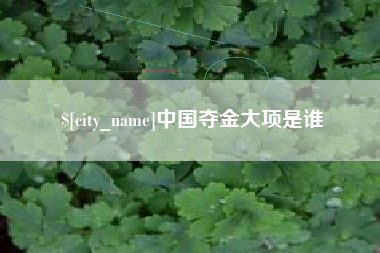 广水中国夺金大项是谁