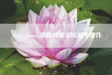 广水消防救援学院报考条件